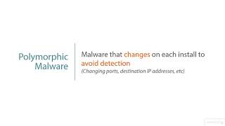 009  Polymorphic Malware and Armored Virus