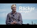 Skogen - räcker den?