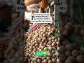 India’s Vegetable Export Market Is Growing Fast