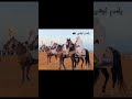 خيول ليبيا الخيول العربية الاصيلة السعودية زليتن مصراتة المغرب الخيول العربية الجواد 