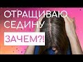 Отращиваю СЕДИНУ! Что скажут люди?