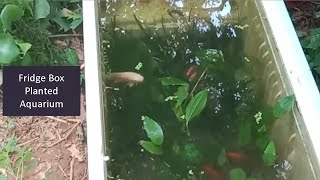 Planted Aquarium in fridge box malayalam | fridge box aquarium malayalam | oscar malayalam