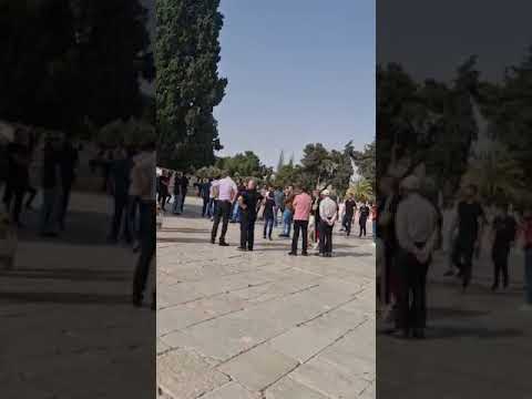 بهدله حزب التحرير