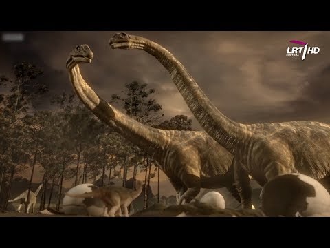 Video: Kurie Dinozaurai Buvo Didžiausi