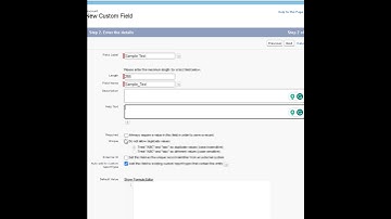 How to add a custom field in a Standard object in your org?
