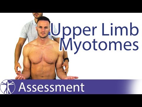 Myotomes Upper Limb | Peripheral Neurological Examination