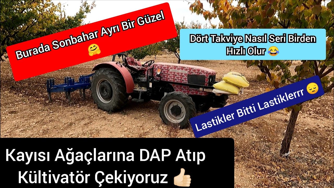 Sonbahar Ayrı Bir Güzel ☺️| Kayısı Bahçesine DAP Atıp Kültivatör Çekiyoruz |#malatya #gopro #tümosan