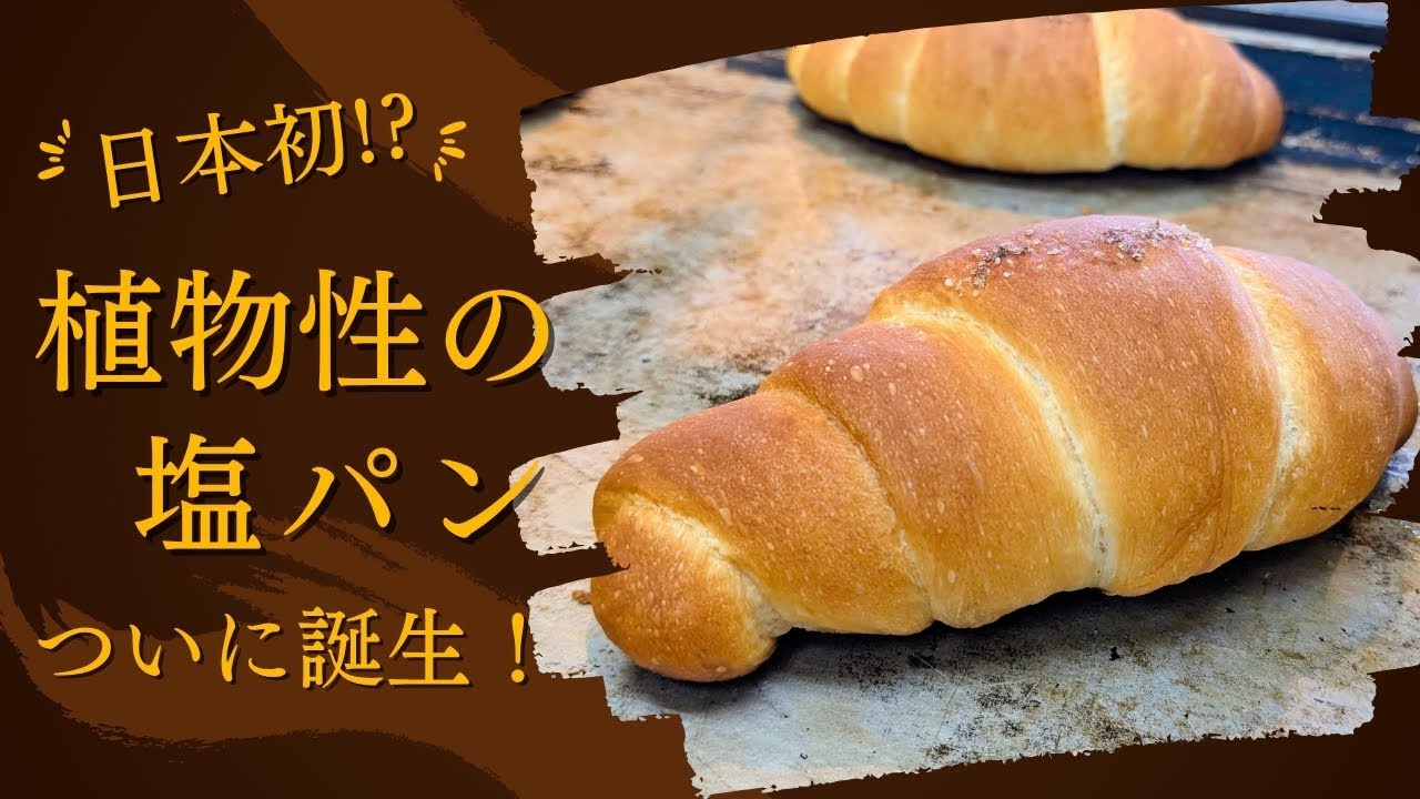tontonの塩パン | アレルギー対応パンのtonton