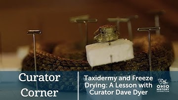 Taxidermy and Freeze Drying: A Lesson with Curator Dave Dyer