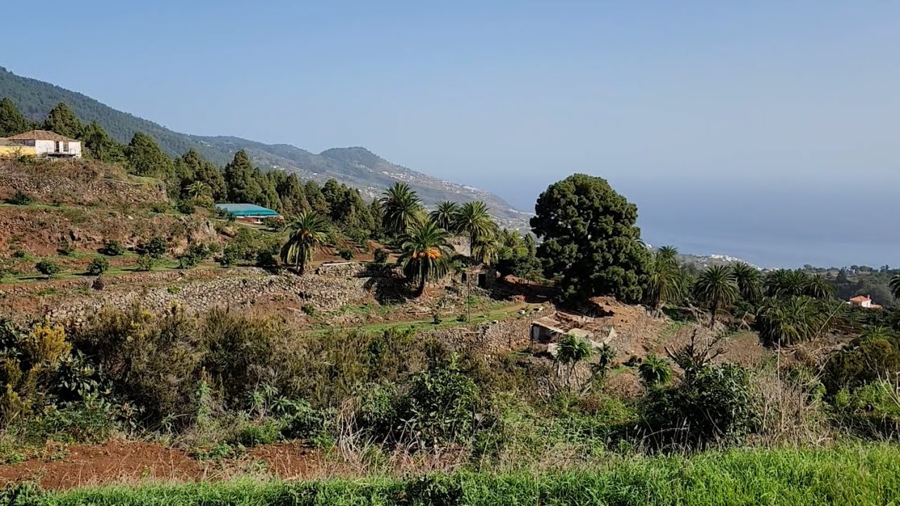 Auf Wasserkanälen nach Las Nieves - Leichte Wanderung auf La Palma