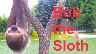 Owlkids visits The Toronto Zoo - Part 4