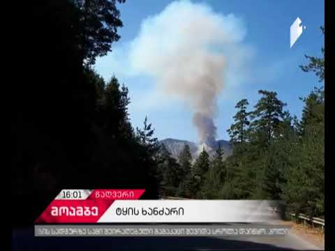 წაღვერის მიმდებარე ტერიტორიაზე ტყის მასივი იწვის