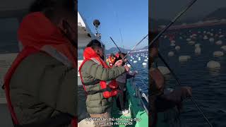 Đi Câu Cá Ở BuSan Cùng Anh Rể #Busan #HanQuoc