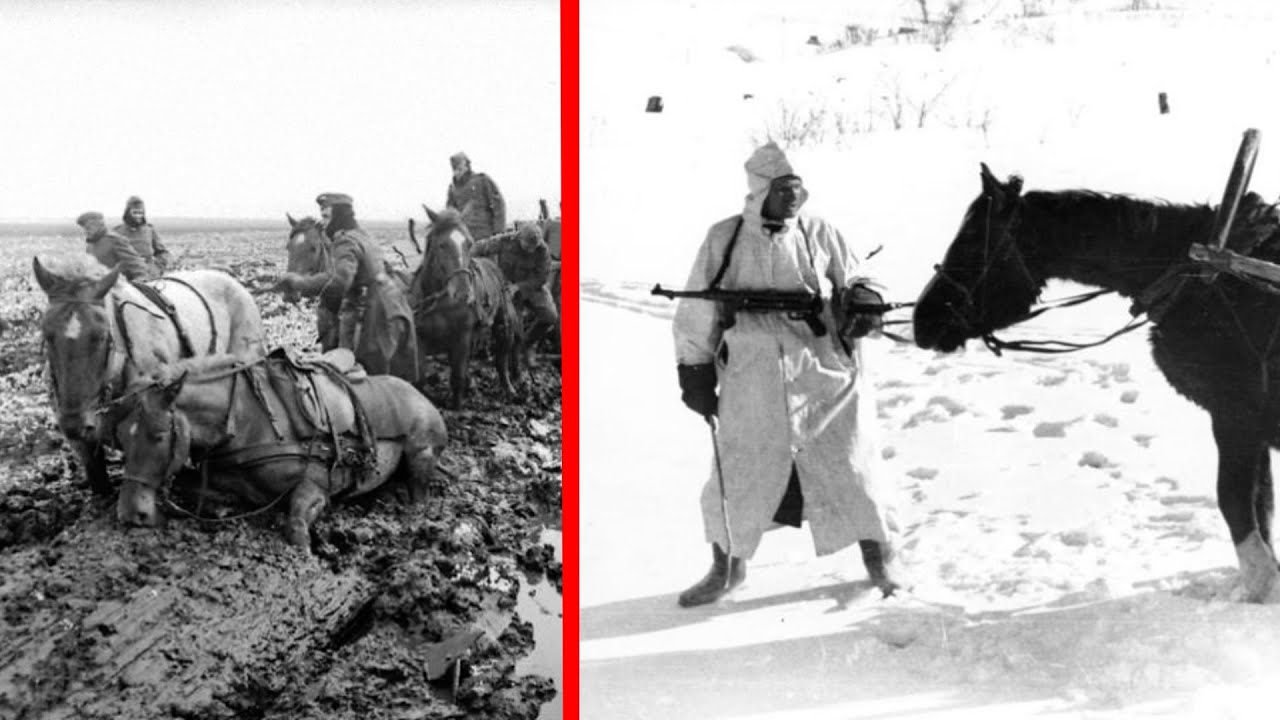 Soviet Cavalry Charges | The Last Horsemen in Modern Warfare on the Steppe | Eastern Front WW2