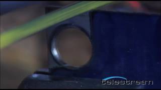 Be17A853-7D1C-4C80-Bf39-3Da6E0Bf8092