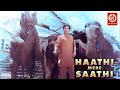 Haathi mere saathi 1971  rajesh khanna  tanuja  hindi classic cinema  bollywood classic movie