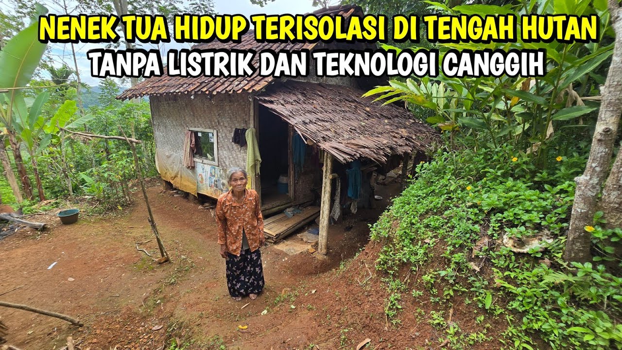 Hidup Terisolasi di Tengah Hutan: Pilihan Hidup atau Ketertinggalan Zaman?