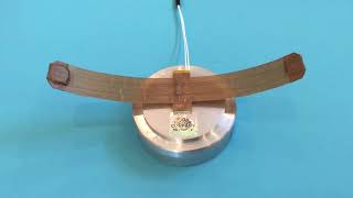 Miga Shape Memory Closure System