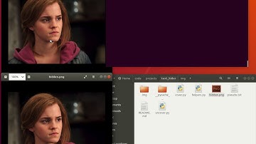 CS50 Final Project - TextHider