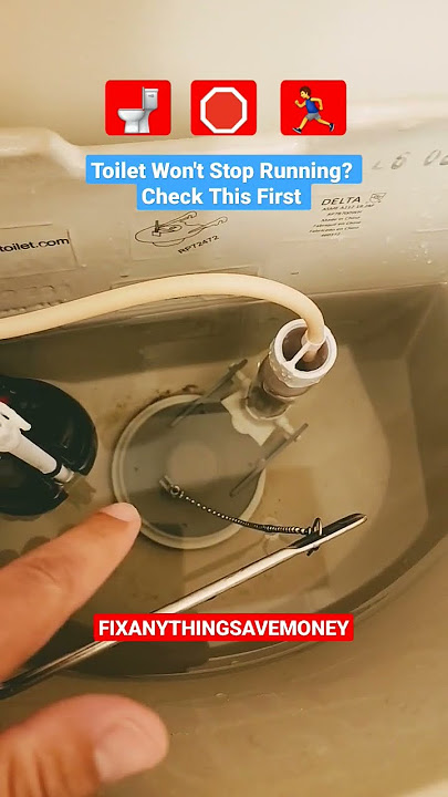 Toilet Won't Stop Running? Check This First! #diy #plumbing #toilet #shorts