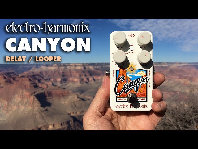 Electro-Harmonix Canyon Delay / Looper Pedal (Demo by Bill Ruppert