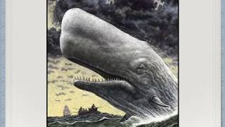 MUSEO DEL RECUERDO VIRTUAL: "Cazadores de Ballenas en Magallanes"