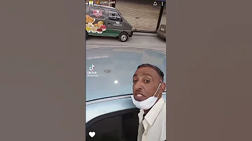 كابوس القطط ضحك 
