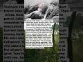 1 Wounded Medic Carried His Best Friend's Body 20 Miles - Their Wives Were Sisters | Military