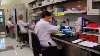 Developing an Accurate Test for Multiple Sclerosis