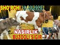 7.MART SHO'RCHI BUZOQLI SIGIR G'UNAJIN BUG'OZ TONA NARXLARI