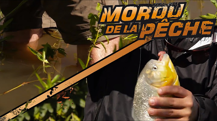 La pêche aux piranhas, pieds-nus dans l'eau!