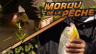La pêche aux piranhas, pieds-nus dans l'eau! -- Mordu de la Pêche avec Cyril Chauquet