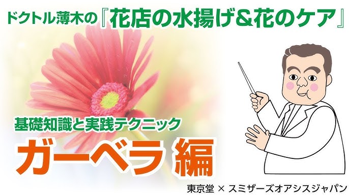 オアシス 吸水スポンジ の正しい使い方 捨て方 生花用 Youtube オアシス 吸水スポンジ の正しい使い方 捨て方 生花用 Youtube