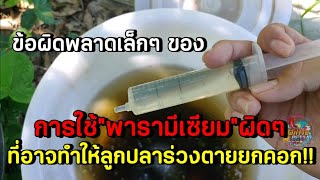 สอนวิธีการใช้"พารามีเซียม"ถ้าใช้งานผิด อาจทำให้ลูกปลาร่วงตายยกคอก