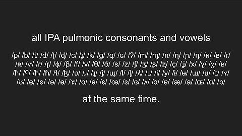 All IPA Pulmonic Consonants and Vowels at the same time