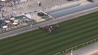 Race Replay: Al Quoz Sprint