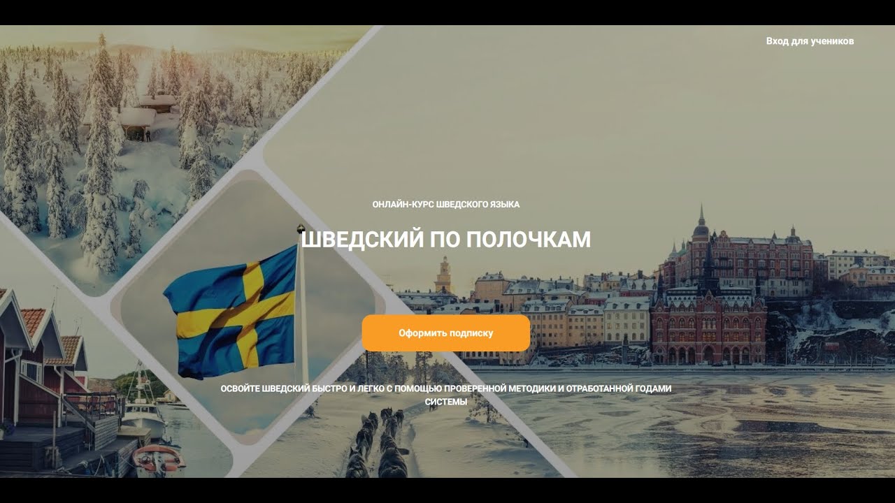 Прямой эфир про курс 