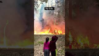 Watching a Prescribed Burn 🔥 with the Kids at Yellowstone National Park 🏞️