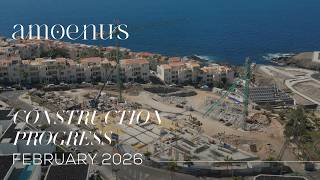 Amoenusconstruction Progressfeb 2026
