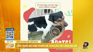 São José recebe feira de adoção de cães resgatados das enchentes no RS