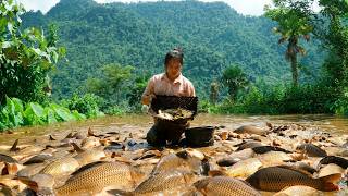 Full Full Video: 30 Days and Nights Harvesting Huge Quantities Of Giant Carp From Wild to Sell Update