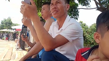 du lịch sinh thái vườn cây ăn quả vải thiều tại thôn chão xã giáp sơn lục ngạn Bắc Giang