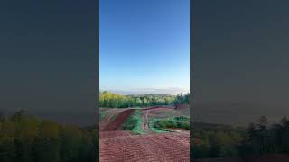 Beautiful CGI Morning ⚡️ #motocross #mxtrack #cgi
