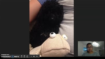 Creating my Pecha Kucha on Google Slides