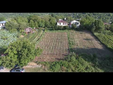 პაატა საგანელიძის ვენახი, საოჯახო სასტუმრო