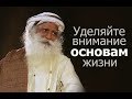 Уделяйте внимание основам жизни — Садхгуру