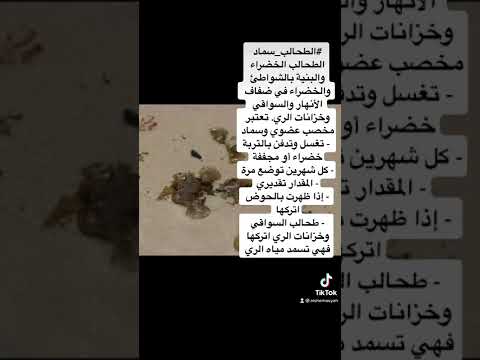 كيف تستفيد من الطحالب البحرية بسماد الأشجار