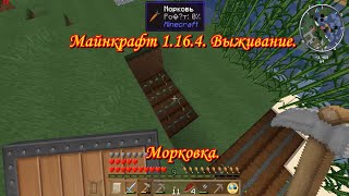 Майнкрафт 1.16.4. Морковка.