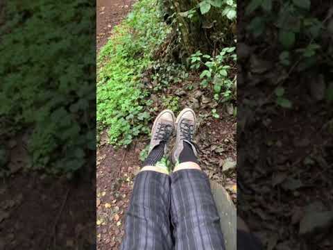 On nature bench taking off socks and converse when a cute westie pooch says hello 🐶