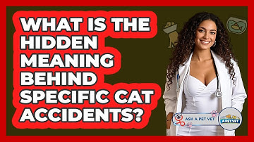 What Is The Hidden Meaning Behind Specific Cat Accidents? - Ask A Pet Vet